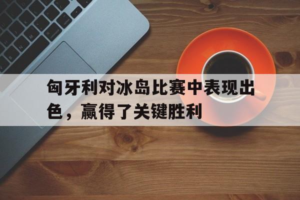 九游体育官方登录入口-匈牙利对冰岛比赛中表现出色，赢得了关键胜利